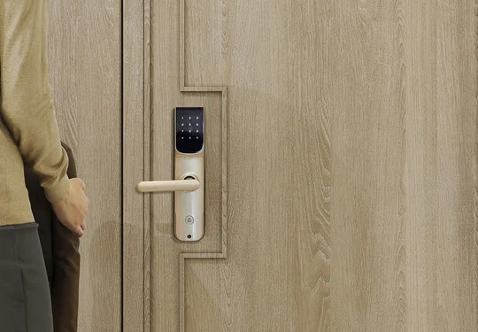 Closeup of a lock mechanism with a keypad