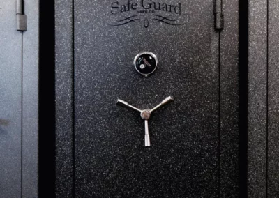 Large Safe Guard safe